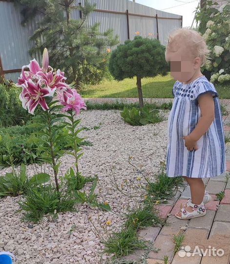 Платье на девочку