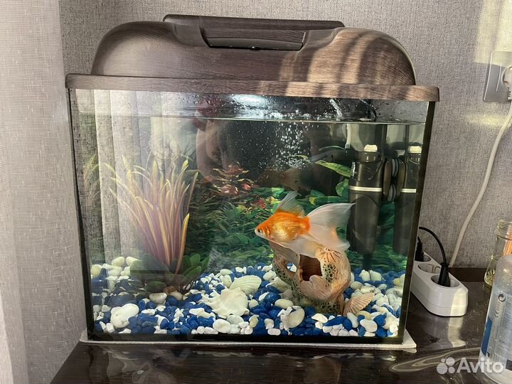 Аквариум на 25 литров