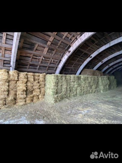 Сено, солома, ячмень