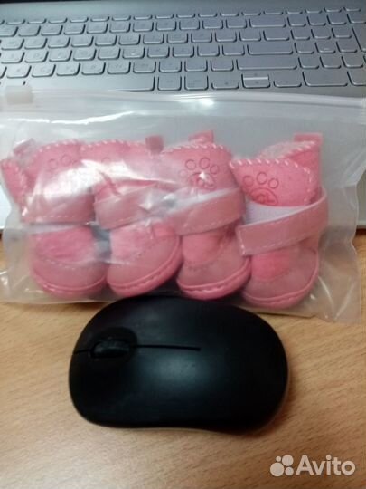 Ботиночки для маленькой собачки