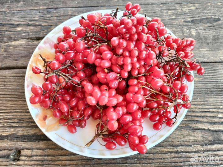 Калина ягода на веточках