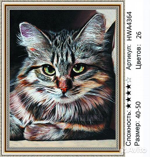 Алмазная мозаика 40x50 Портрет серенькой кошки