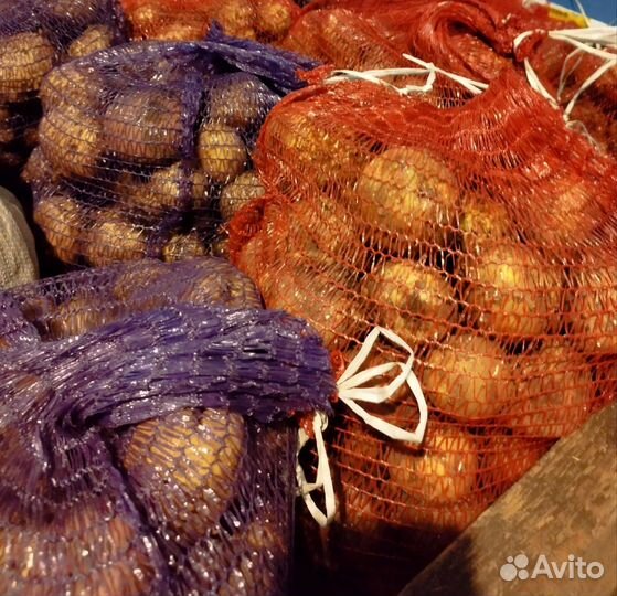 Картофель крупный