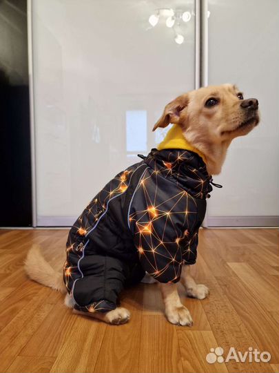 Зимний комбинезон для собак
