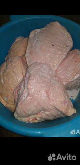 Корм для собак