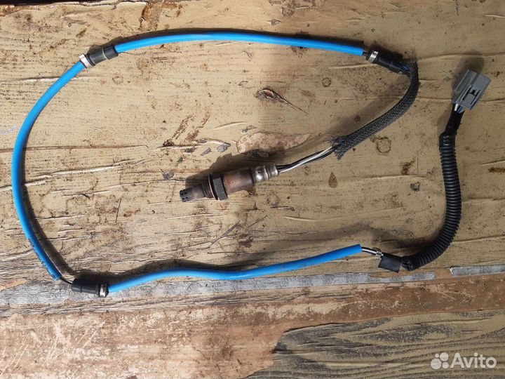 Лямбдазонд на accord 7