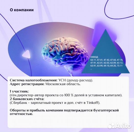 Продаю IT компанию с проектом