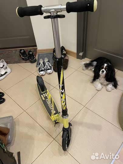 Самокат, Weelz twist