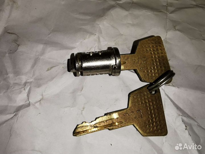 Личинка замка заз