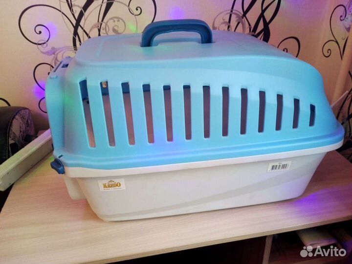 Переноска для кошек и собак. Аренда