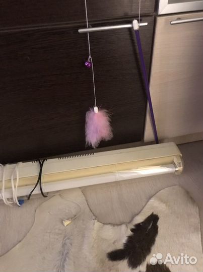 Лампа люминисцентная б/у jazz