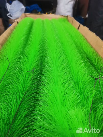 Ерш ритуальный