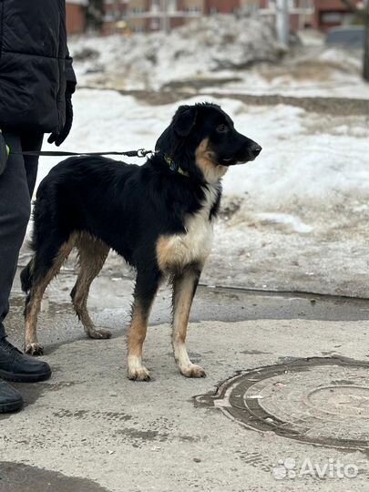 Супер умная девочка