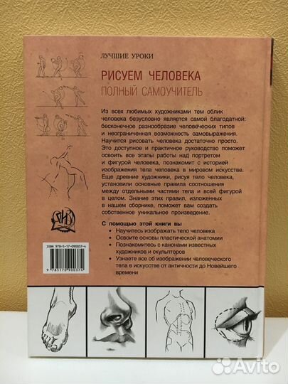 Рисуем человека. Самоучитель по рисованию