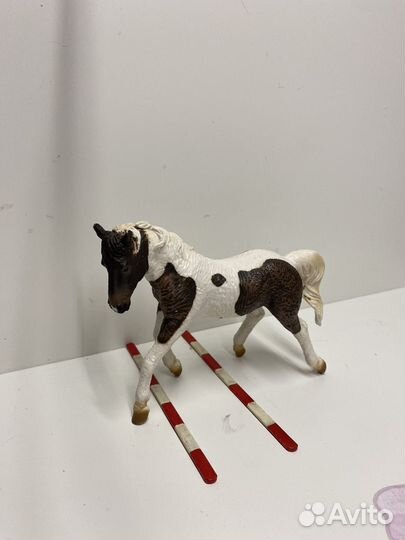 Лошади collecta