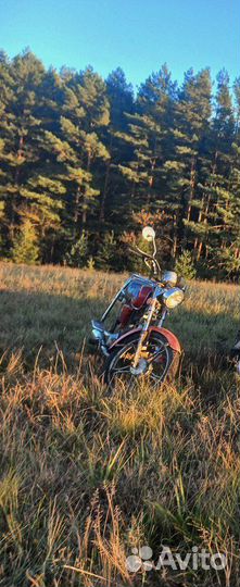 Продам альфу