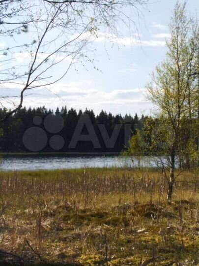 Участок 20 сот. (ИЖС)