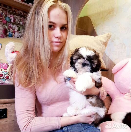 Радость в дом