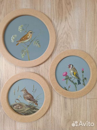 Картина маслом на холсте Щегол