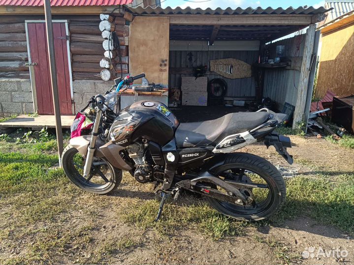 Raser nitro 250