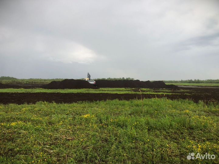 Торф низинный