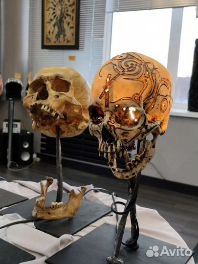 Череп, светильник, подставка