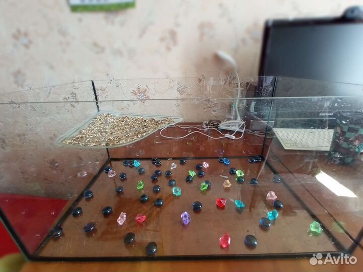 Террариум для красноухой черепахи