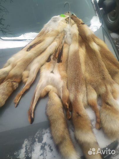 Лисьи шкуры (Мех лисы)