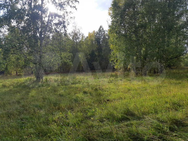 Участок 5,5 га (СНТ, ДНП)