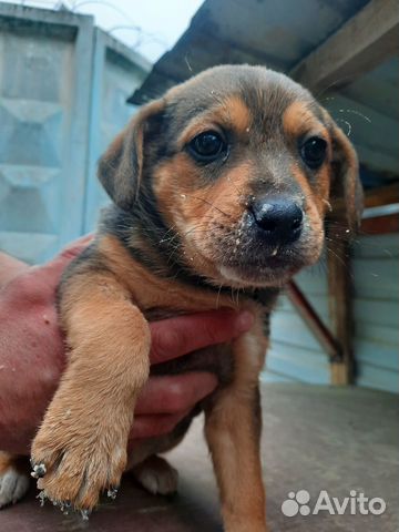 Прелестная активная Манюня