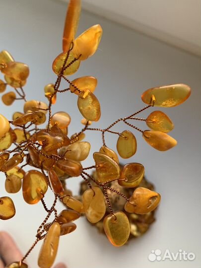 Янтарное дерево