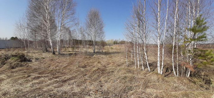 Участок 10 сот. (ИЖС)