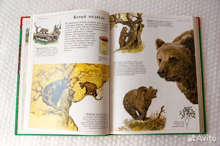 Большая энциклопедия животных (новая)