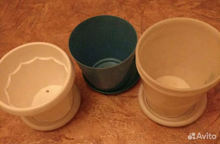 Калатея Нетворк Мозаичная.Горшки для цветов