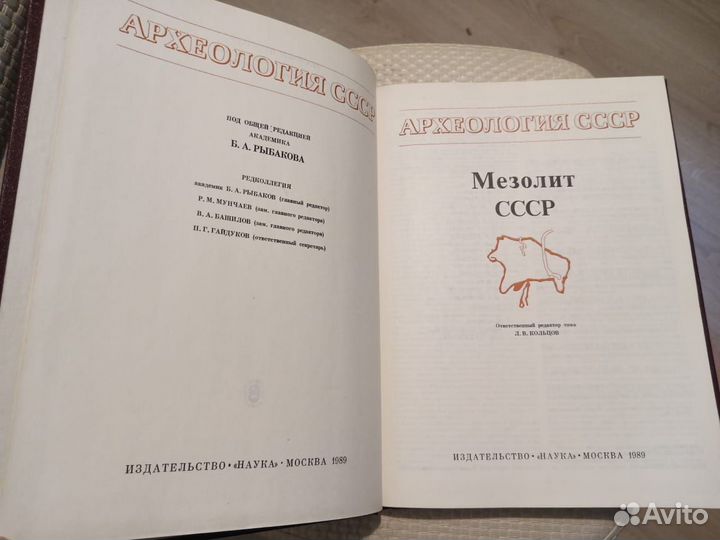 Мезолит (Археология СССР)