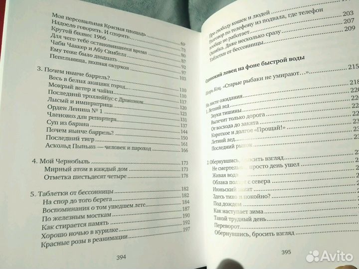 Андрей Иллеш - Записки безбилетника