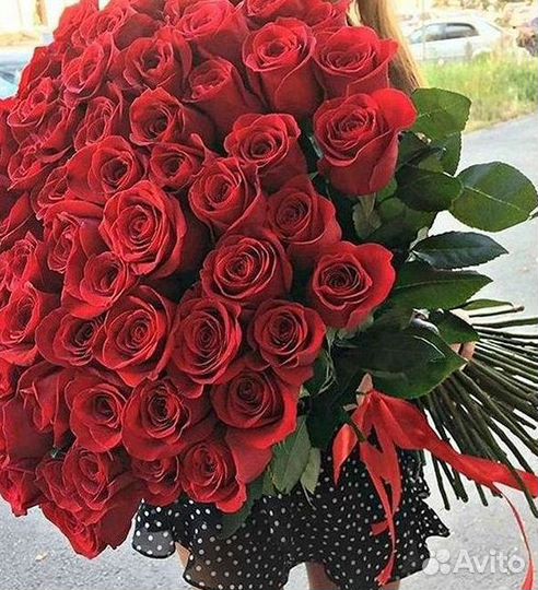 101 роза цветы букеты доставка 25 51 101 роза