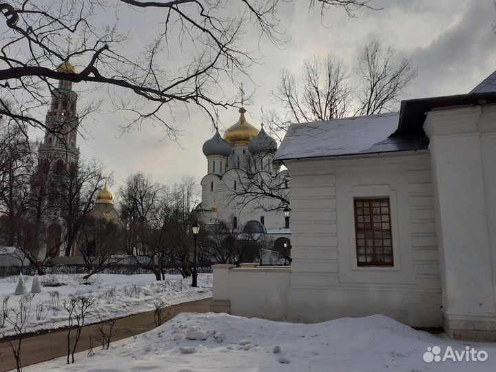 Москва Топ-Экскурсия Экскурсия по Новодевичьему мо