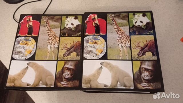 Книги в мире дикой природы цена за 2