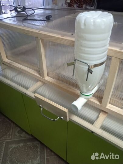 С Брудер для циплят