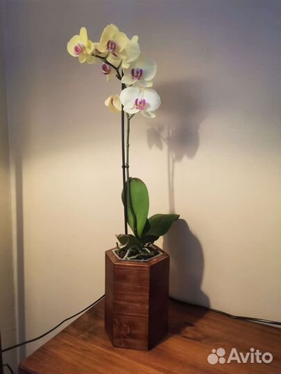 Кашпо из натурального дерева ручной работы