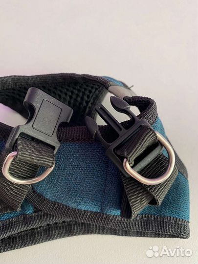 Шлейка для маленькой собаки