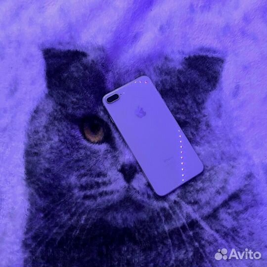 iPhone 8 Plus, 64 ГБ