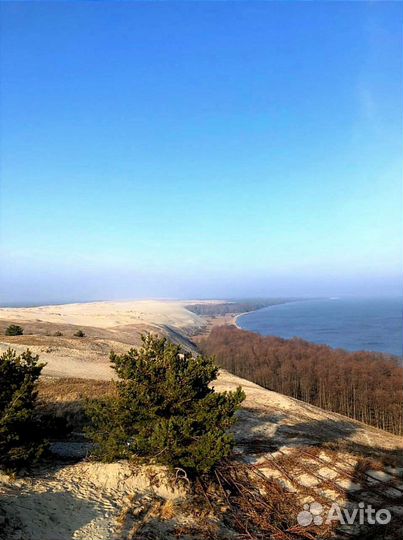 Индивидуальные экскурсии на Куршскую косу