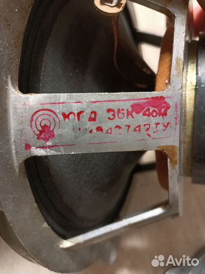 Динамики 10 гдш (небольшие отличия)