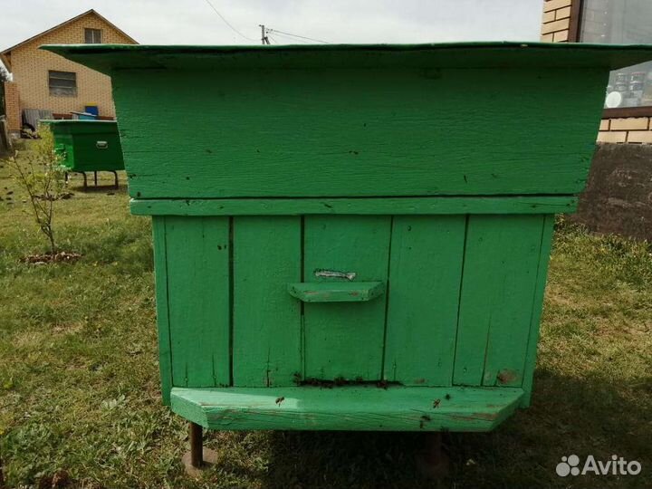 Продажа пчелосемьи