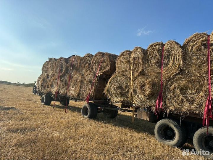 Продажа сена с доставкой