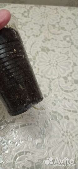 Диффенбахия