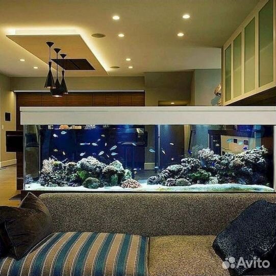 Чистка террариума аквариума/обслуживание/установка