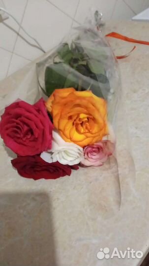 Бесплатно женские вещи